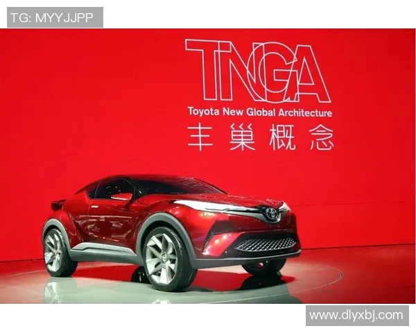 武汉排球队在洲际杯中的强势表现与未来展望分析