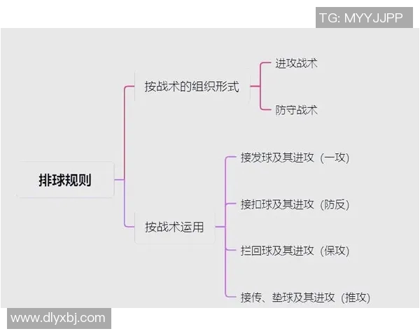 西安排球队中路突破战术解析与技术要点深度剖析